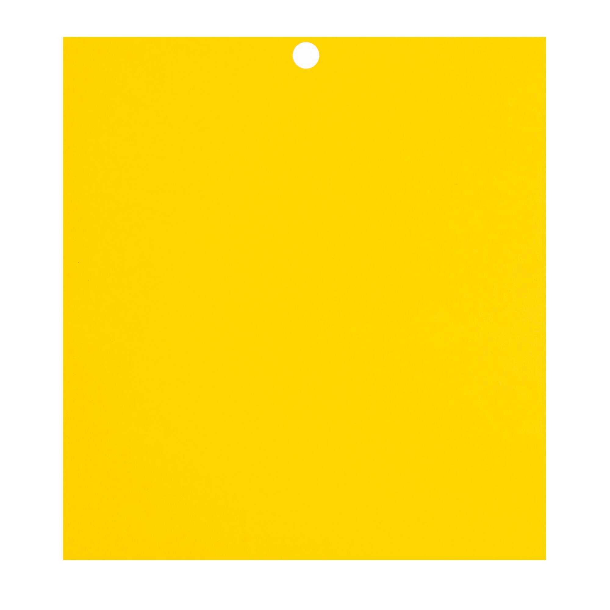 Citrus 6" x 6.5" Cardstock Paper by Recollections™, 100 Sheets